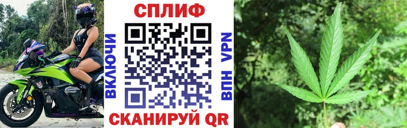 Бошки Шишки семена  Купить где  Рудня 